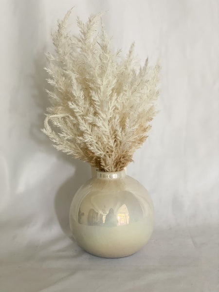 Faux Pampas Grass in Ceramic Vase