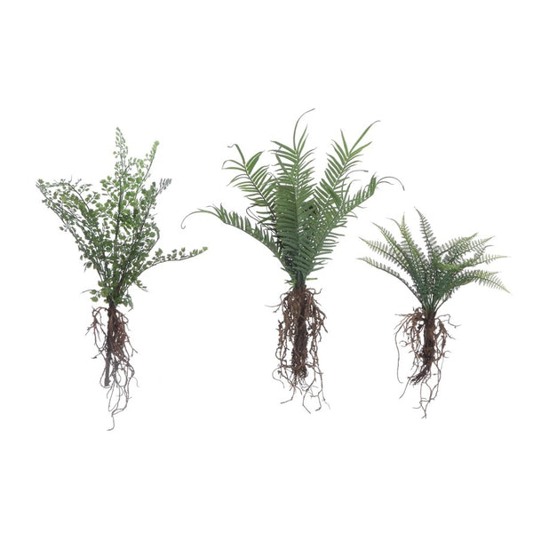 Faux Ferns with Exposed Roots